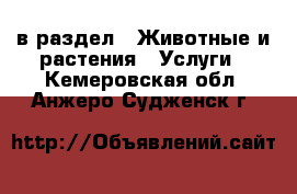  в раздел : Животные и растения » Услуги . Кемеровская обл.,Анжеро-Судженск г.